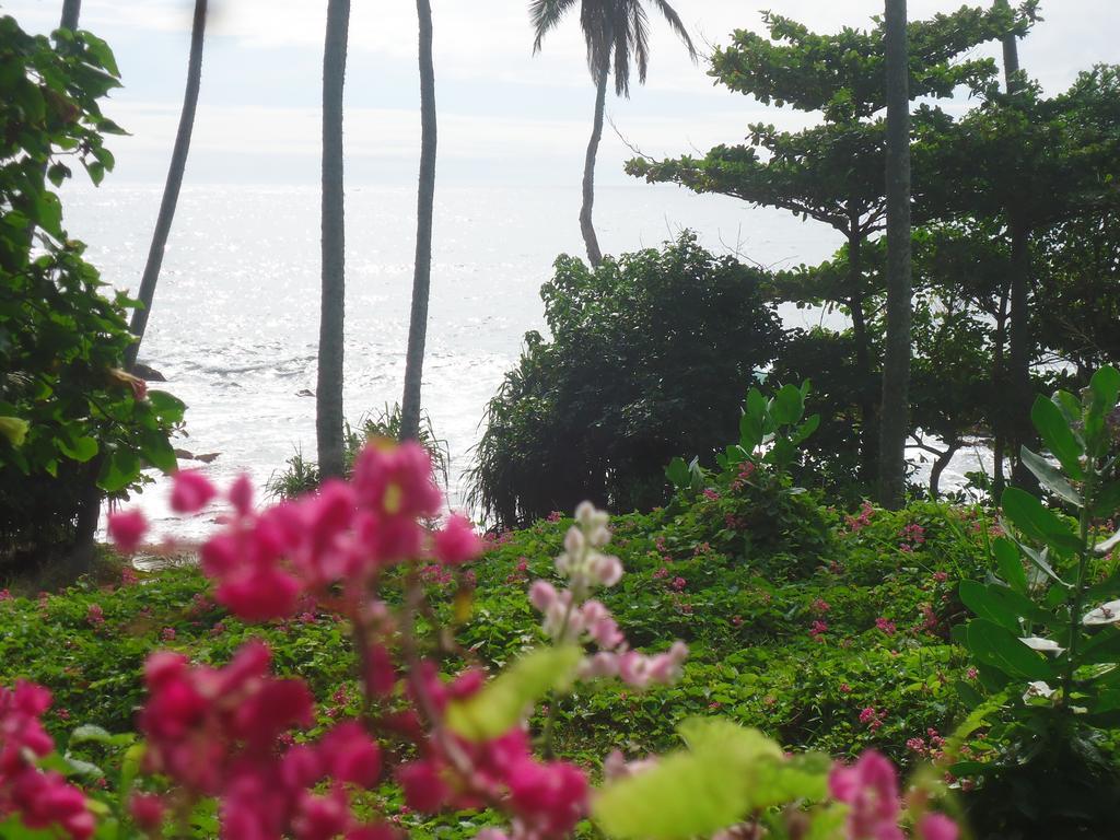 Masha Beach Inn Tangalle Esterno foto