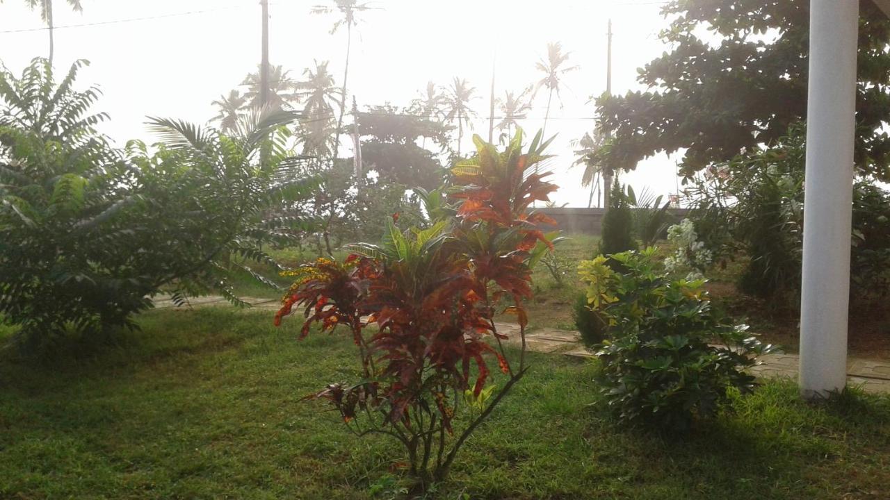 Masha Beach Inn Tangalle Esterno foto